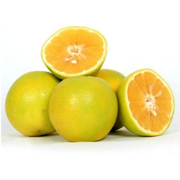 Local Oranges at zucchini